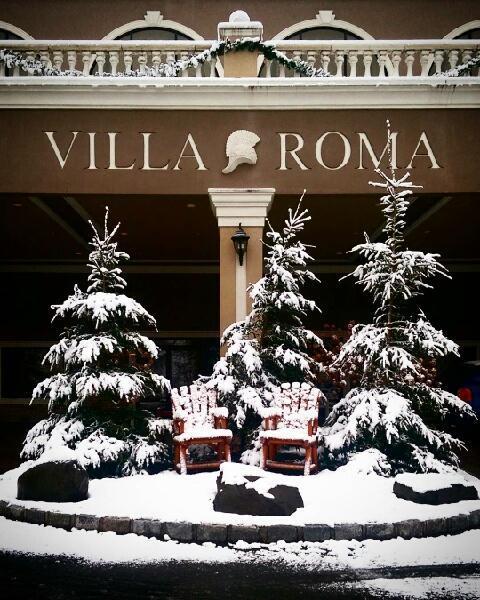 Villa Roma Resort And Conference Center Callicoon Exteriér fotografie